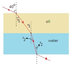 ch-11_qn-445Exp_img_no1.png