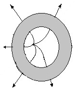 ch-13_qn-163choice_img_no3.png