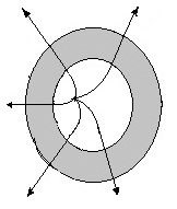 ch-13_qn-163choice_img_no4.png