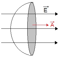 ch-13_qn-226Exp_img_no1.png