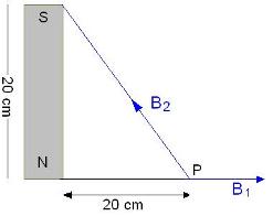 ch-17_qn-117Exp_img_no1.png