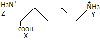 ch-25_que_no-30_img_no1.png