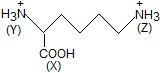 ch-27_que_no-100_img_no1.png