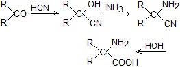 ch-28_qn-32Exp_img_no1.png