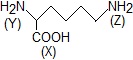 ch-29_que_no-7_img_no1.png
