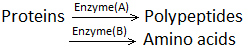 ch-30_que_no-26_img_no1.png