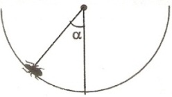 ch-4_que_no-75_img_no1.png