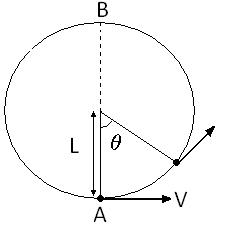 ch-5_que_no-219_img_no1.png