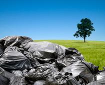 changes-to-Environment-4-s.jpg