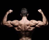 ck-back-B.jpg