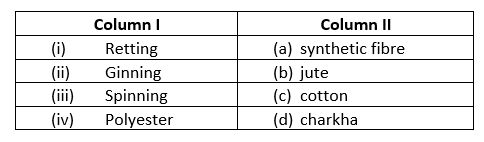 class6-chapter-3-testpaper-1.png