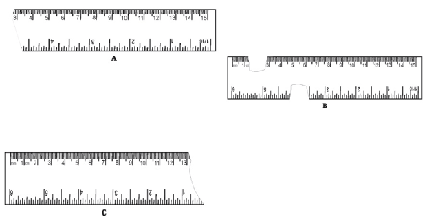 class6-science-motion-1.png