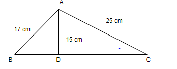 class7-maths-chapter-6-mcq-1.png