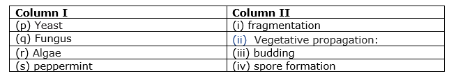 class7-science-chapter-12-mcq-1.png