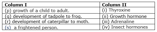 class8-science-chapter-10-mcq-4.png