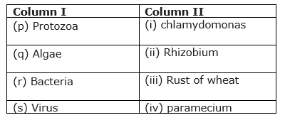 class8-science-chapter-2-mcq.png