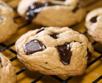 contraction-biscuit-B.jpg