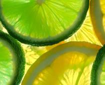 dge-lemon-B.jpg