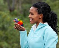 english-cathat-bird-small.jpg