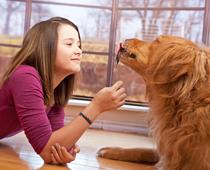 english-cathat-dog-small.jpg