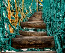 english-no-bridge-small.jpg