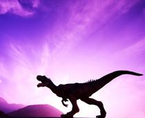 english-read-me-dinosaur-small.jpg