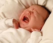 ful-baby-B.jpg
