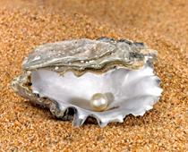 heard-pearl-B.jpg