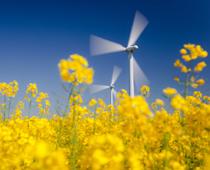 ier-turbine-B.jpg