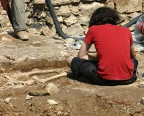 il-dig-B.jpg