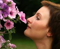 il-nose-B.jpg