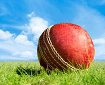 imp-1-cricket-B.jpg