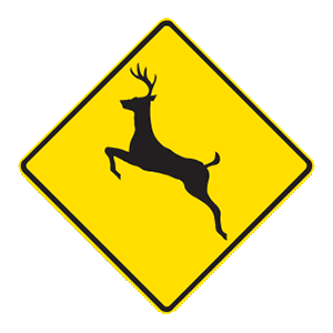 indiana-car-driver-permit-test-img274.png