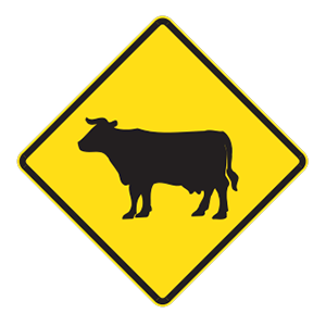 indiana-car-driver-permit-test-img79.png