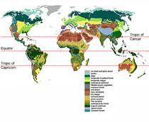 info-maps-q1-small.jpg