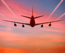 ing-fly-B.jpg