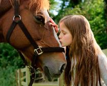 ing-horse-B.jpg