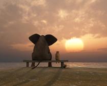 j-elephant-B.jpg