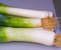 leek-B.jpg