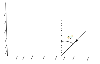 light-class8-mcq-1.png
