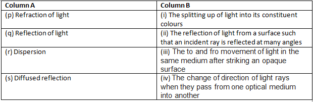 light-class8-mcq-2.png