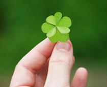 ly-clover-B.jpg