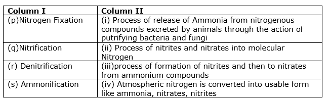 natural-resources-mcq-3.png