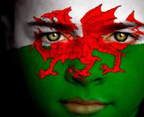 noun-1-wales-B.jpg