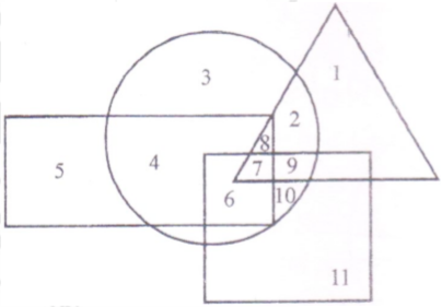 ntse-assam-19-mat-4-Ques-2-to-5.png