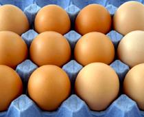 o-egg-B.jpg