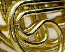 or-horn-B.jpg