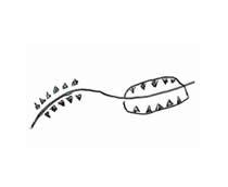 os-symbol-q1-small.jpg