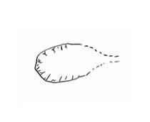 os-symbol-q7-small.jpg