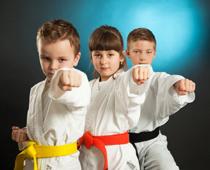 para-karate-B.jpg